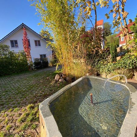 Pia'S Nature Retreat Neukirch  Dış mekan fotoğraf